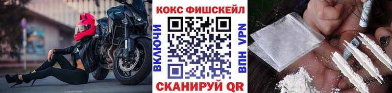 COCAIN FishScale  Купить закладки  Озёрск 