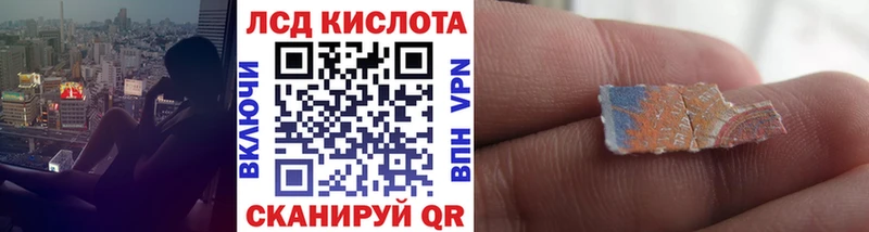 Купить закладки  Озёрск  Наркотические марки 1500мкг 