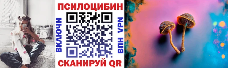 Купить  Озёрск  Псилоцибиновые грибы прущие грибы 